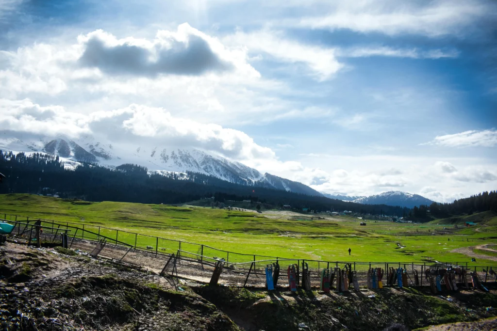 A wide green meadow in Pahalgam with snow-capped mountains and pine trees under a cloudy blue sky.