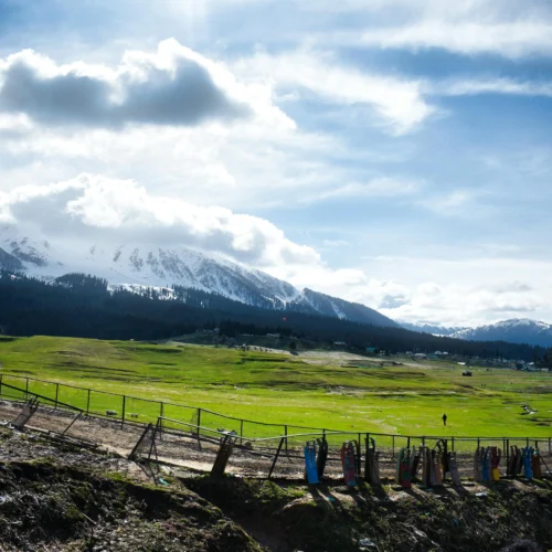 A wide green meadow in Pahalgam with snow-capped mountains and pine trees under a cloudy blue sky.