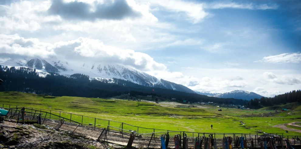 A wide green meadow in Pahalgam with snow-capped mountains and pine trees under a cloudy blue sky.