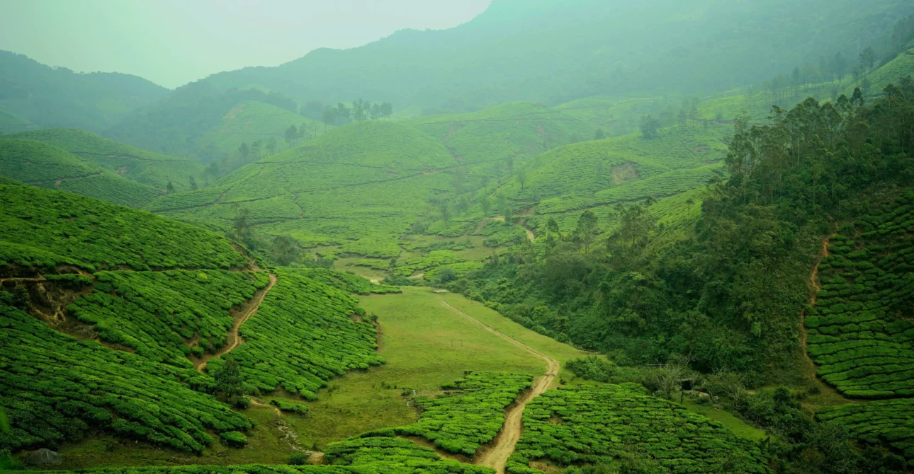 Discover Your Next Adventure with Our Travel Packages