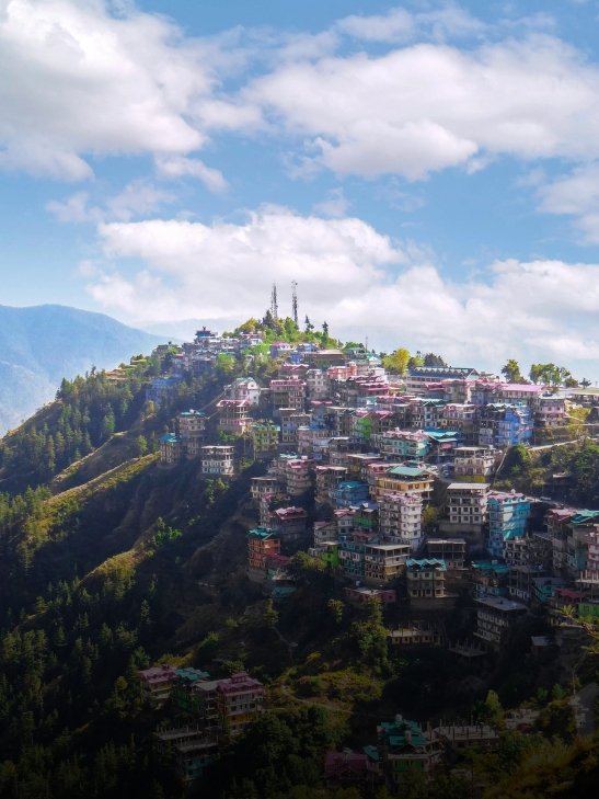 Colorful houses on a lush mountain hill station in Shimla, India, under a blue sky.