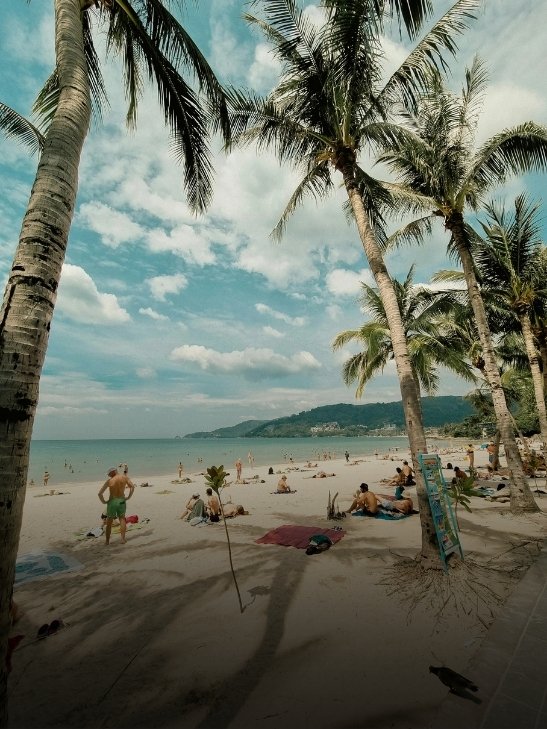 Tourists relaxing on a sandy tropical beach lined with palm trees in Thailand.