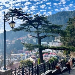 Shimla manali tour package