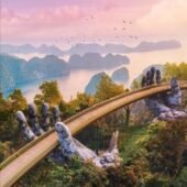 Vietnam tour package
